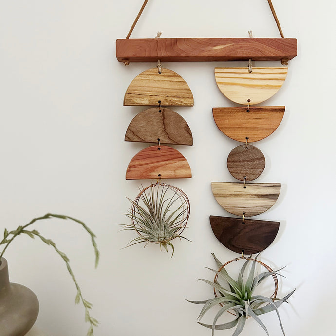 Air Plant Wall Jewelry - Double Shapes no.001