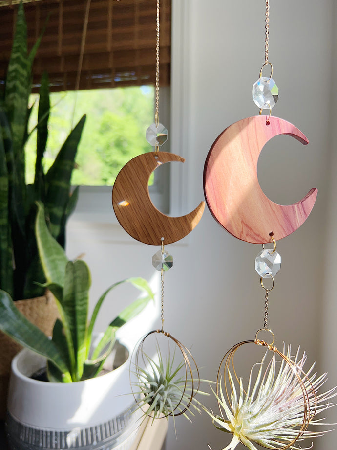 Crescent Moon Chain with Crystals Air Plant Hanger