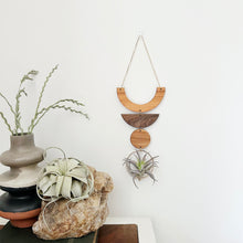 Air Plant Wall Jewelry - Smile no.002