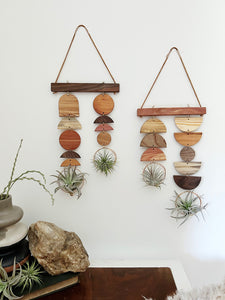 Air Plant Wall Jewelry - Double Shapes no.003