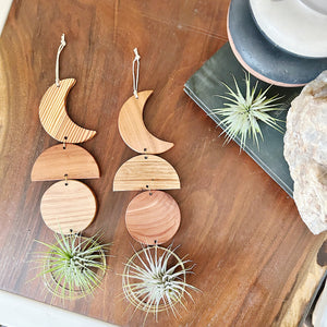 Air Plant Wall Jewelry - To the Moon no.054