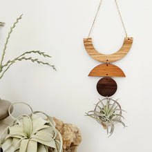 Air Plant Wall Jewelry - Smile no.001