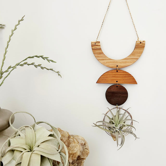 Air Plant Wall Jewelry - Smile no.001