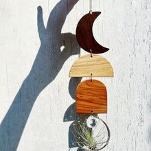 Air Plant Hanger + Suncatcher no.003 - 3pc Moon