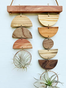 Air Plant Wall Jewelry - Double Shapes no.001