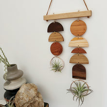 Air Plant Wall Jewelry - Double Shapes no.002