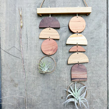 Air Plant Wall Jewelry - Double Shapes no.002