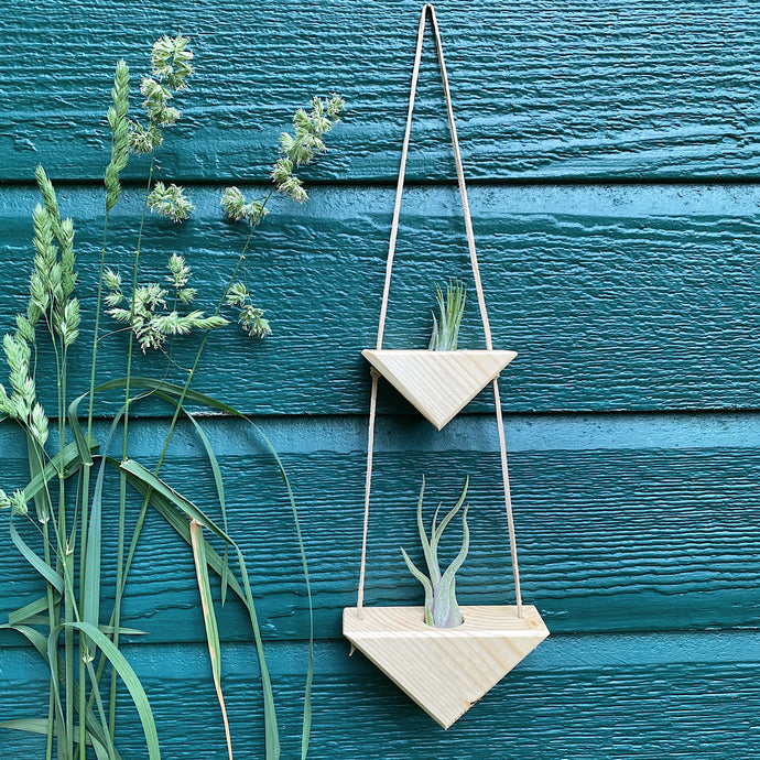 Hanging Triangles x2 Air Plant Hanger