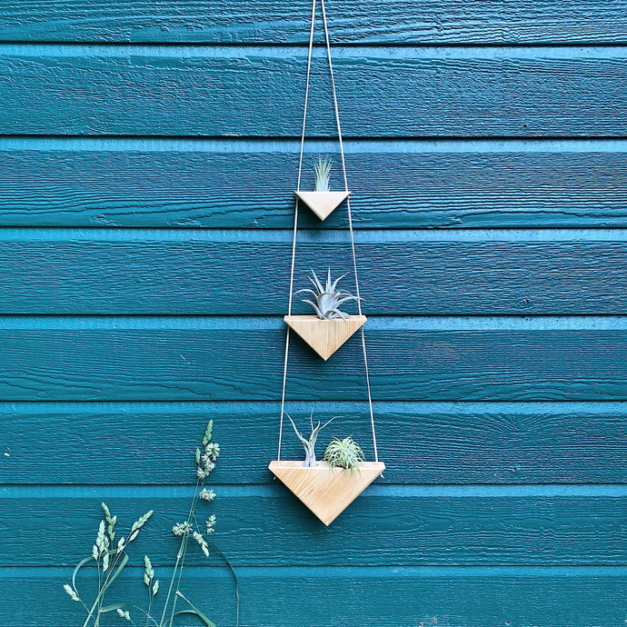 Hanging Triangles x3 Air Plant Hanger