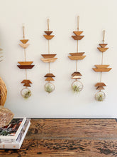 Modern Southwest Air Plant Wall Hanging - Short Trail