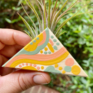 Air Plant Magnet