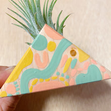 Air Plant Magnet