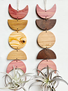 Air Plant Wall Jewelry - Moon Phases in Color