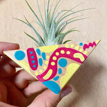 Air Plant Magnet