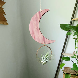 Crescent Moon Air Plant Wall Hanging