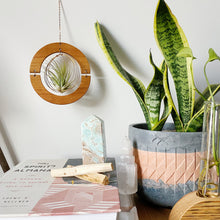 Golden hOur Air Plant Hanger