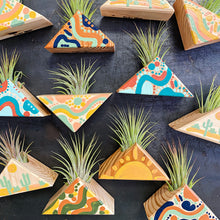 Air Plant Magnet