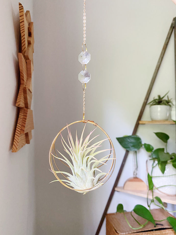 Air Plant Hanger - Chainz with Crystals