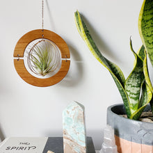 Golden hOur Air Plant Hanger