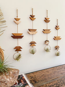 Modern Southwest Air Plant Wall Hanging - Short Trail