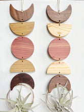 Air Plant Wall Jewelry - Moon Phases in Color