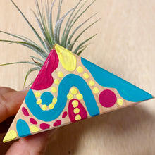 Air Plant Magnet