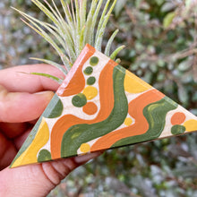 Air Plant Magnet