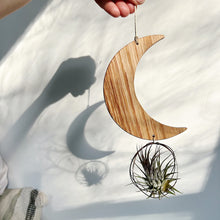 Crescent Moon Air Plant Wall Hanging