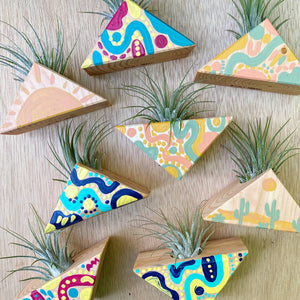 Air Plant Magnet